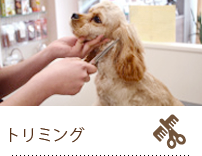 grooming-serv